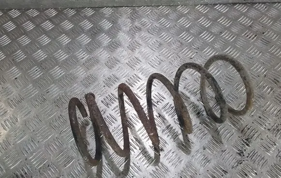 Rear coil spring