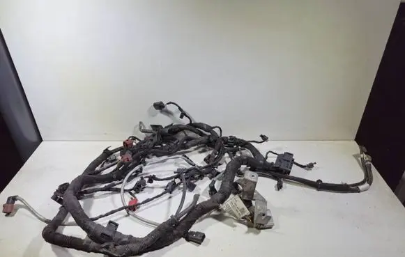 Volkswagen Crafter Wiring harness 04L971604AG 7C0971157B
