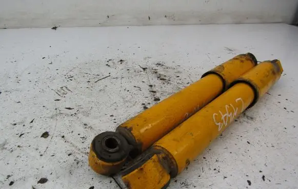 Fiat Punto (188) Rear shock absorber/damper 