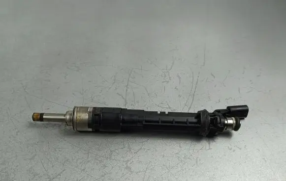 Dacia Jogger Fuel injector 166005550R