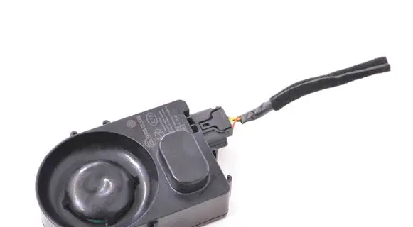 Alarm system siren
