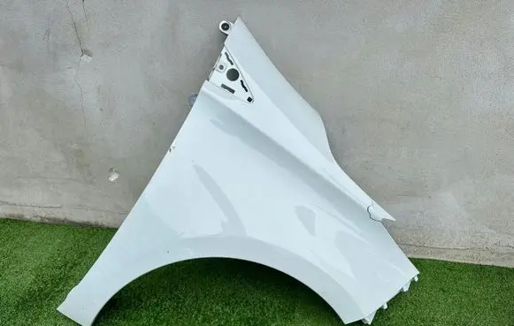 Renault Zoe Fender 631009208R