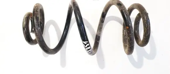 Rear coil spring