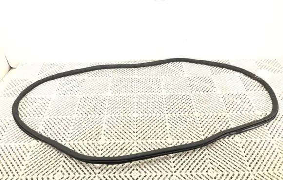 Chrysler Pacifica Rubber seal front door (on door) 
