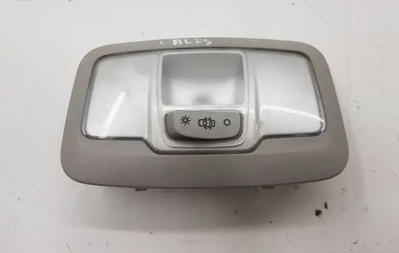 Rear seat light