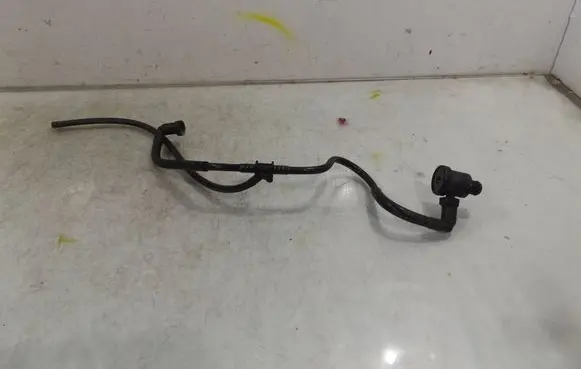 Citroen Berlingo Vacuum line/pipe/hose 