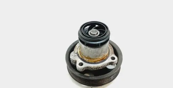 Volkswagen PASSAT B7 USA Water pump 07K121029
