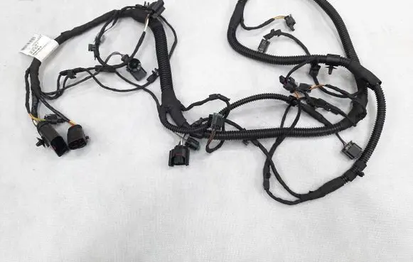 Other wiring loom