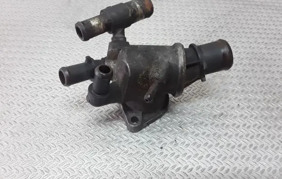 Thermostat/thermostat housing