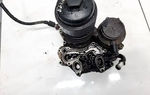 Audi Q7 4L Oil filter cover 6599716
