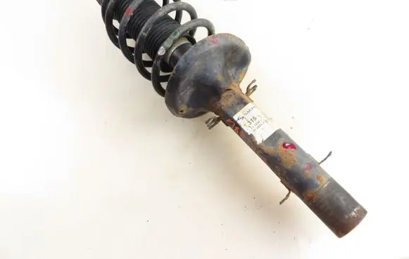 Seat Leon (1M) Front shock absorber with coil spring 