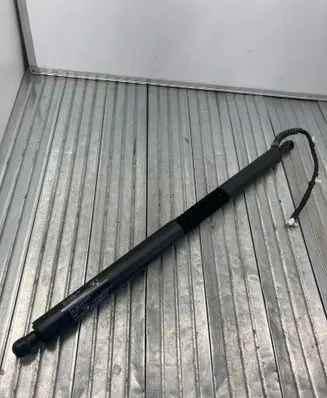 BMW 3 GT F34 Tailgate/trunk strut/damper 7298984 17893910