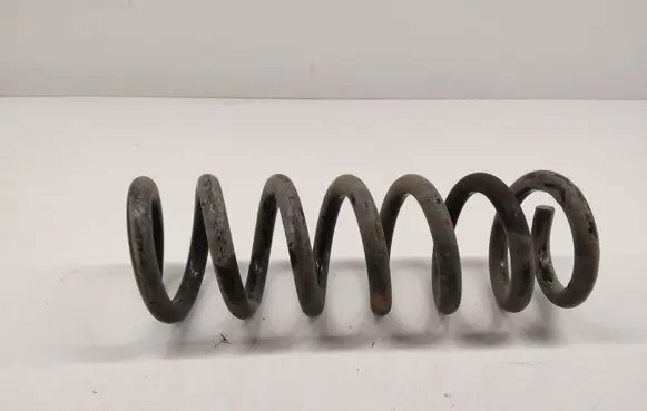 Front coil spring