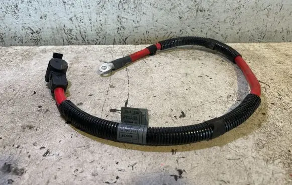BMW 2 F45 Positive cable (battery) 10304410 EE757P 6904905