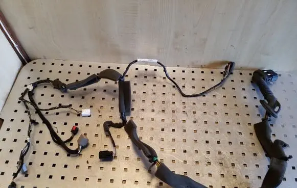 Ford Focus Front door wiring loom DM5T14A584