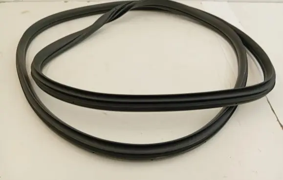 Hyundai Ioniq 5 Rear door rubber seal (on body) 