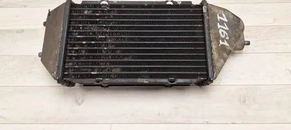 Honda FR-V Intercooler radiator 1270000710