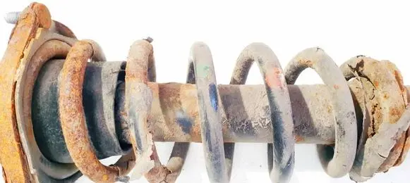 Rear coil spring