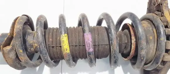 Nissan Primera Rear coil spring