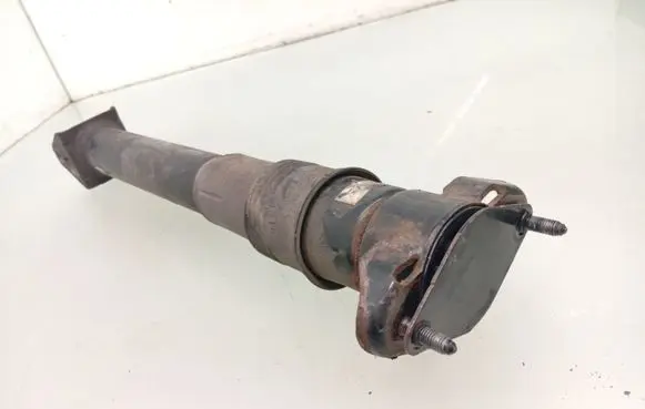 Mercedes-Benz R W251 Rear shock absorber/damper