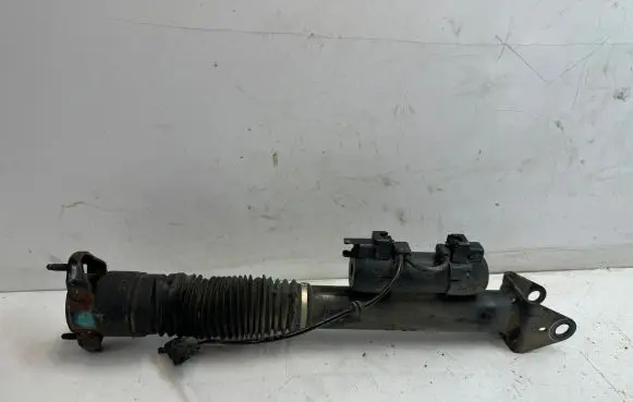 Mercedes-Benz GLS X166 Rear shock absorber/damper A1663263100