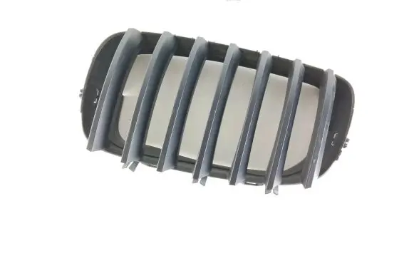 BMW X6 E71 Front grill 7171395