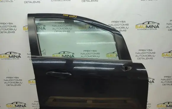 Ford Ecosport Front door