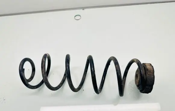 Rear coil spring