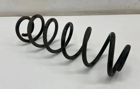 Rear coil spring