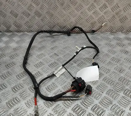 Volkswagen ID.4 Other wiring loom 1EB971111D