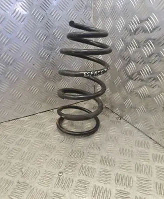 Rear coil spring