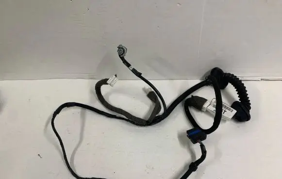 Rear door wiring loom