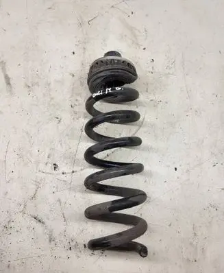 Rear coil spring