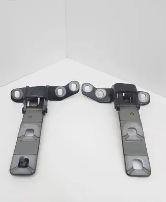 BMW X5 E70 Tailgate/trunk/boot hinge