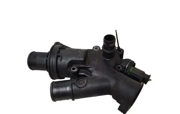 Thermostat/thermostat housing