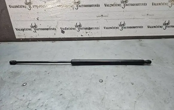 Opel Insignia A Tailgate/trunk strut/damper 39011536 3535010800N 315005777