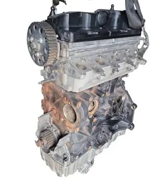 Volkswagen Golf VI Engine CAY