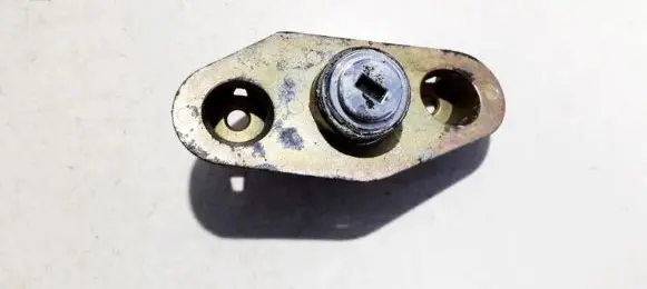 Volvo S60 Tailgate exterior lock 737700001