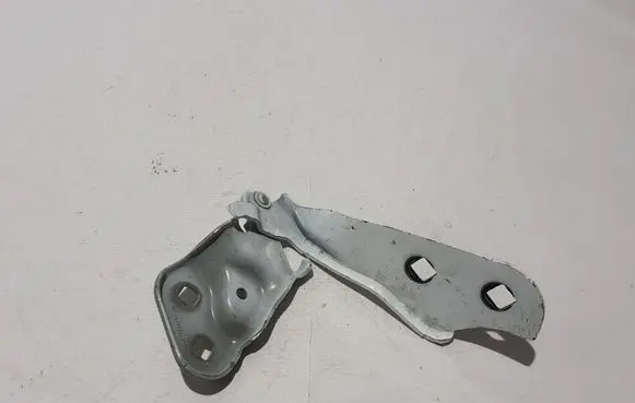 Tesla Model 3 Engine bonnet/hood hinges 109879200