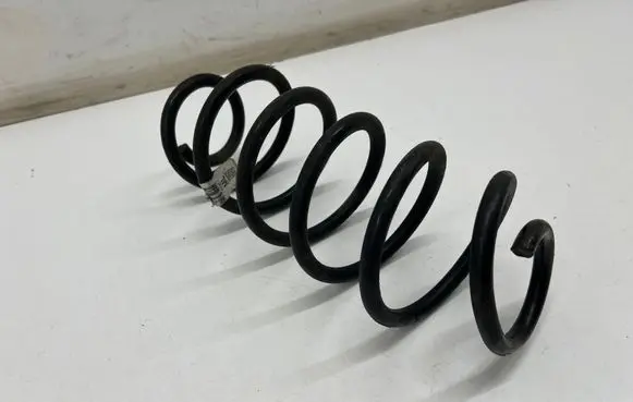 Rear coil spring