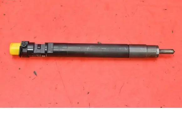 Ford Kuga I Fuel injector 9686191080