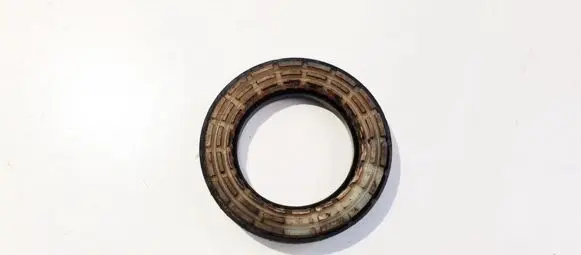 Coil spring mount
