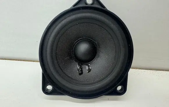 Rear door speaker
