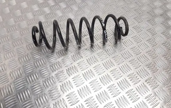 Volkswagen Jetta VI Rear coil spring