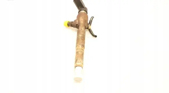 Nissan Qashqai Fuel injector 8200294788
