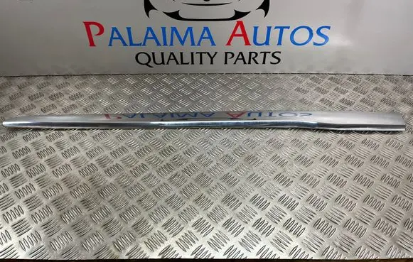 Citroen DS3 Front door trim (molding) C0173Y10