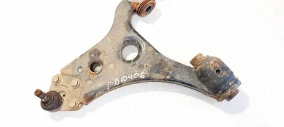 Front lower control arm/wishbone