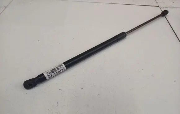 Tailgate/trunk strut/damper