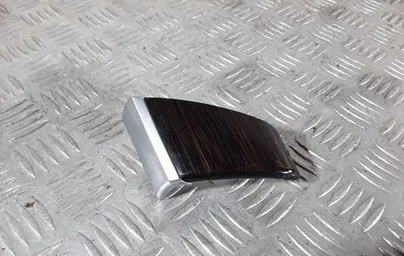 BMW X6 E71 Panel trim 4992101