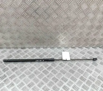 Volkswagen Tiguan Front bonnet/hood damper/strut 5NA823359B